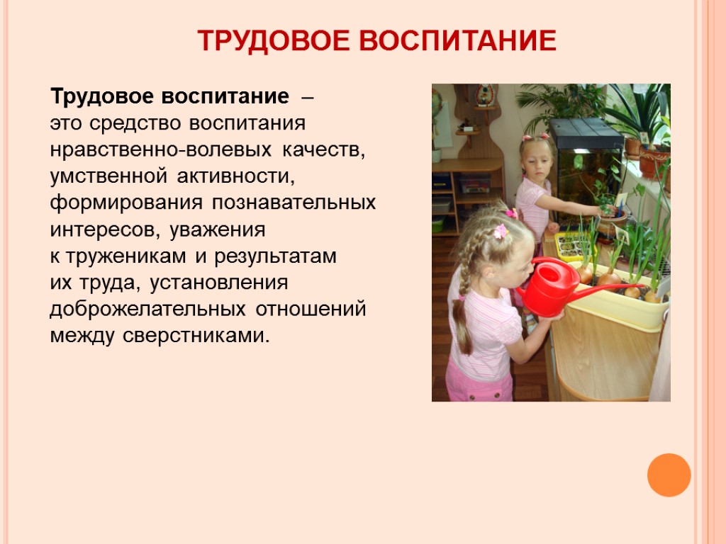 Содержание психологопедагогической работы в детском саду по освоению